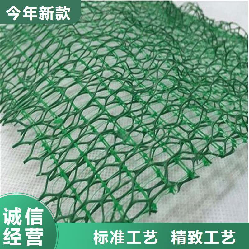 【平凉】 【鼎诺】三维植被网-绿色三维土工网垫_行业案例