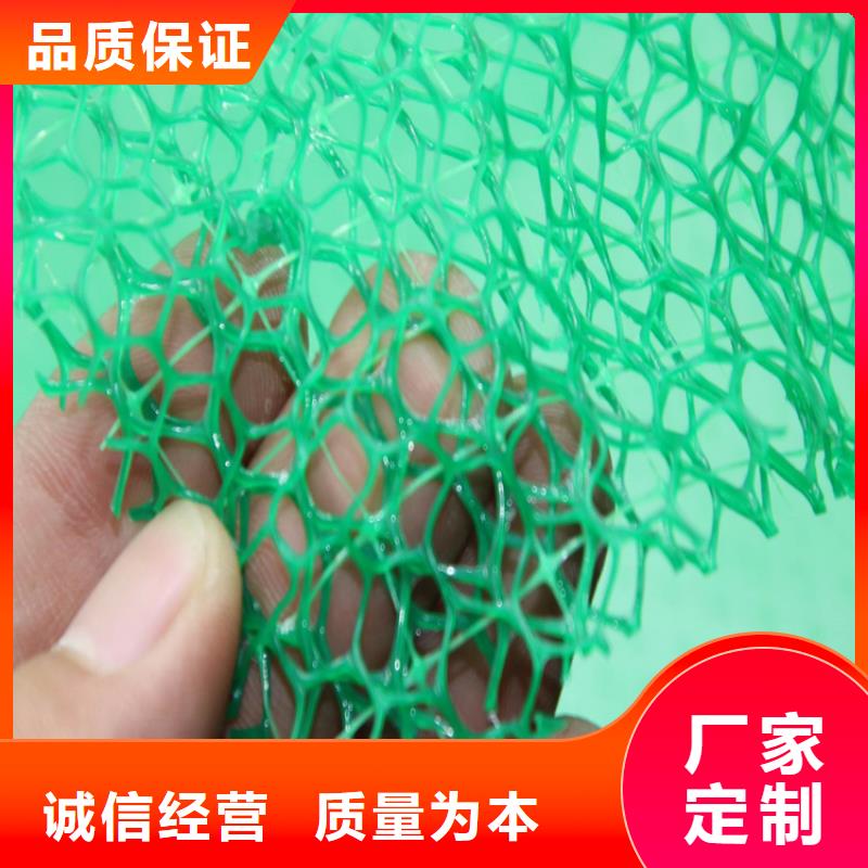 三维植被网-EM3三维加筋网垫