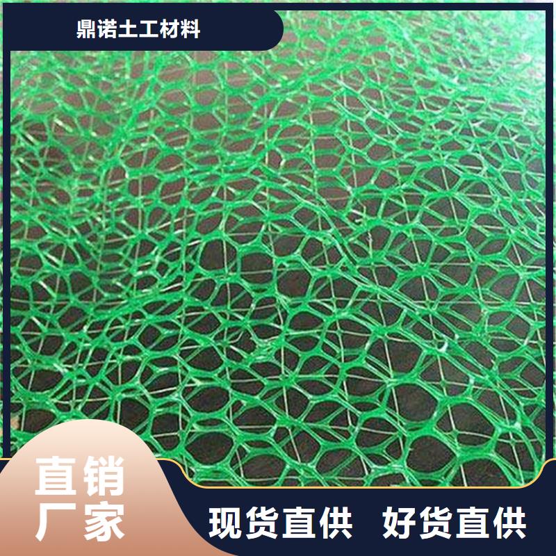 【鼎诺】:三维护坡植草网垫-EM4三维植被网现货快速采购-