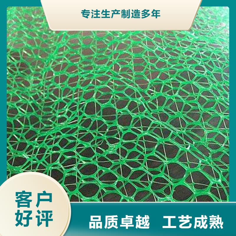 细节决定品质《鼎诺》三维护坡植草网垫-EM4三维植被网