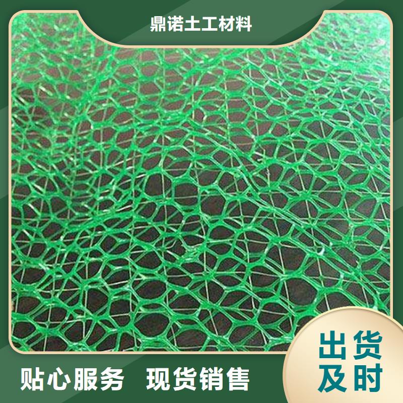 克拉玛依销售三维固土网垫EM3三维土工网垫