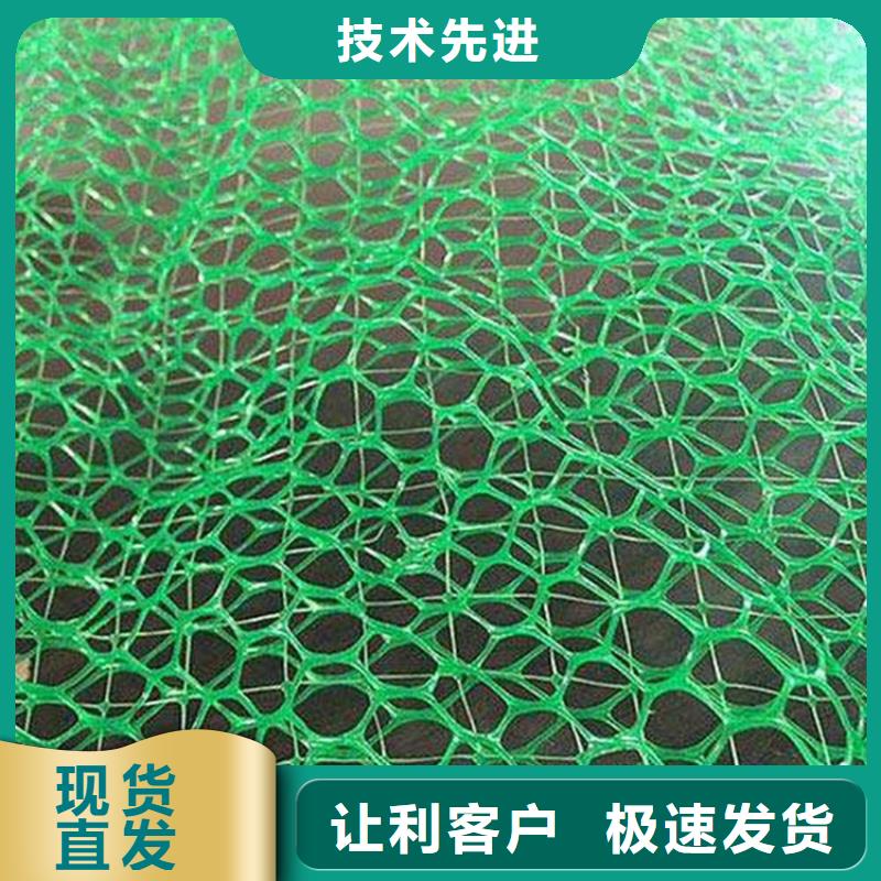 绿化护坡三维固土网垫