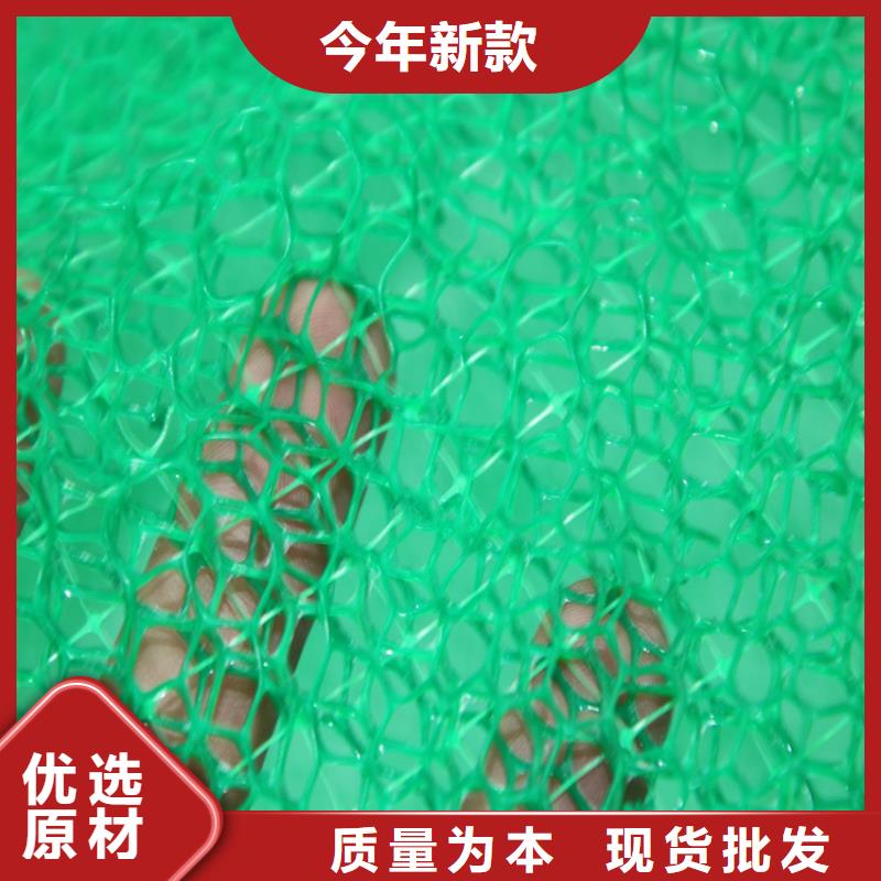定制(鼎诺)三维植被网-三维护坡植草网垫