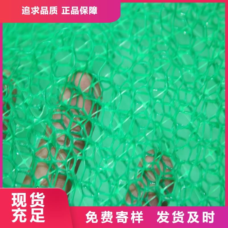 懂您所需《鼎诺》三维植被网HDPE土工膜优选好材铸造好品质