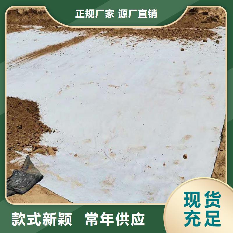 膨润土防水毯_塑料土工格栅一站式厂家