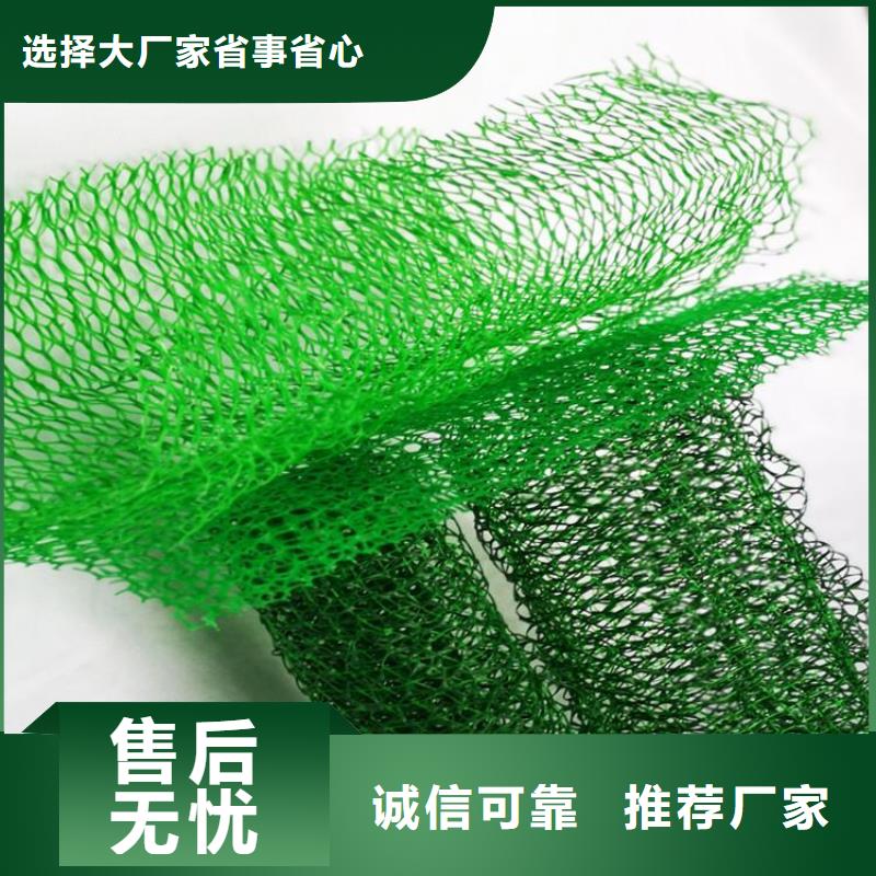 三维植被网防渗工程施工