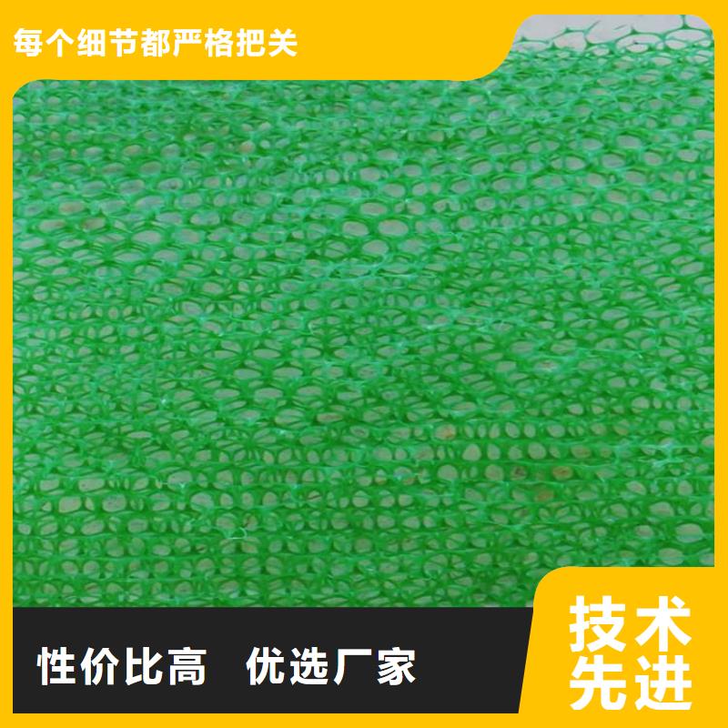 淄博当地护坡加筋网垫-边坡三维植被网批发经销
