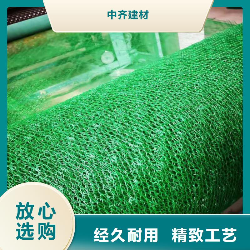 内蒙古订购三维固土网垫-2层3层三维植被网