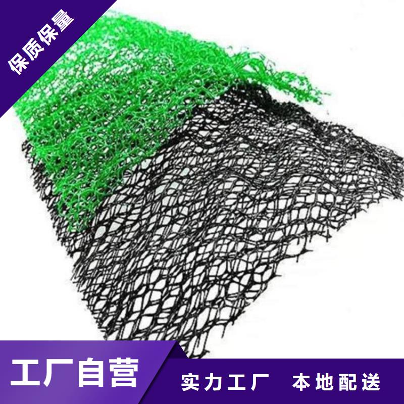内蒙古订购三维固土网垫-2层3层三维植被网
