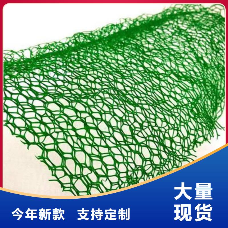 淄博当地护坡加筋网垫-边坡三维植被网批发经销