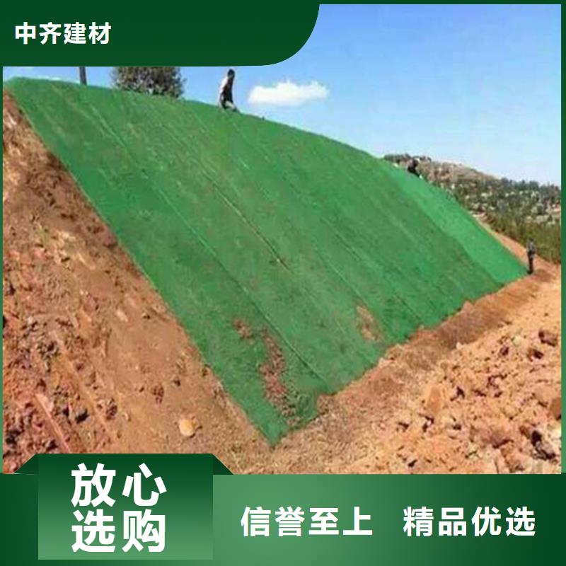 三维固土网垫-绿色三维植被网批发/多少钱一平