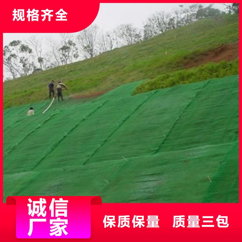 安庆买三维植草护坡网垫-EM5三维植被网