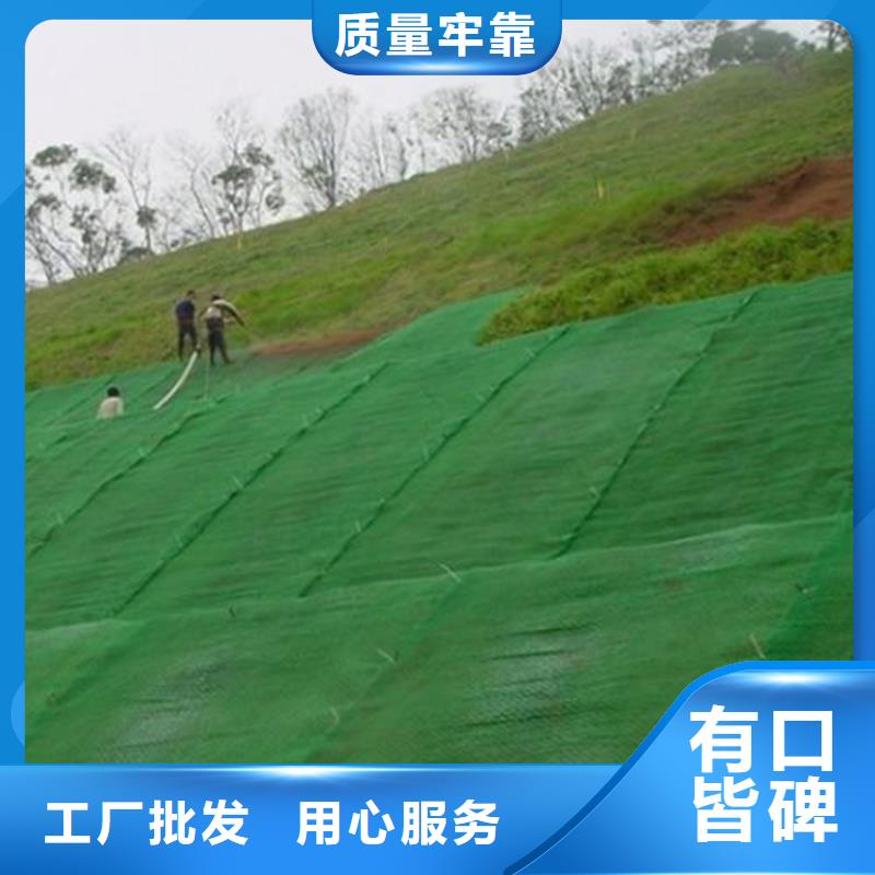 【安庆】(本地)《中齐》加筋固土三维护坡植被网垫_安庆新闻中心