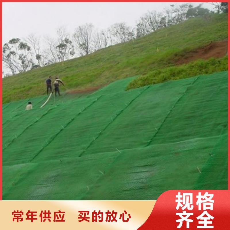 护坡加筋网垫-EM5三维植被网特点厚度