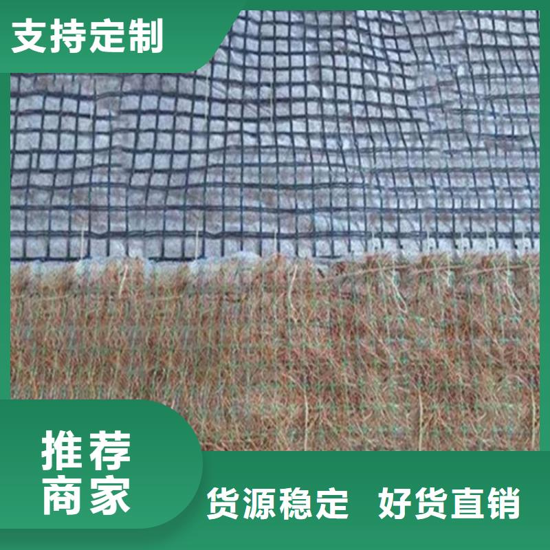 拉萨现货椰纤植生毯 -护坡植被植草毯