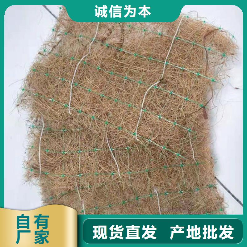【福建】咨询纤维草毯-椰丝生态毯