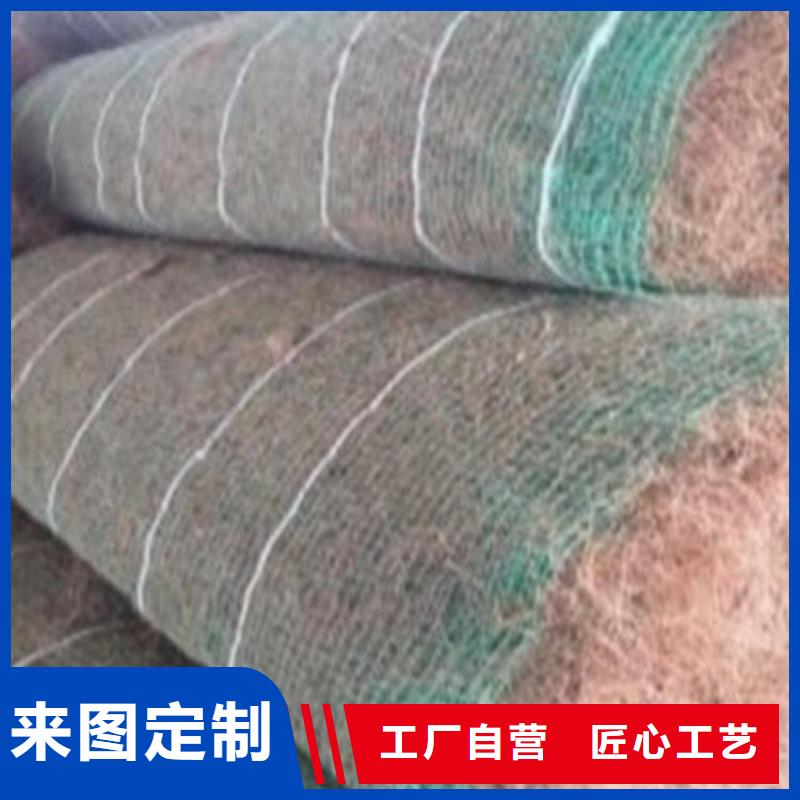 淄博订购植生椰丝毯-椰纤植生毯 
