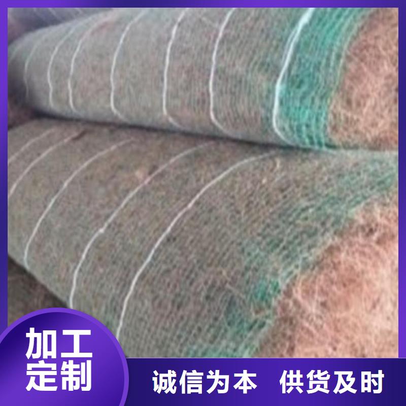【淄博】选购秸秆植被纤维毯-加筋复合植草毯