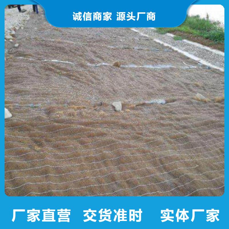 安庆直销植物纤维毯-护坡植被植草毯公司-欢迎您