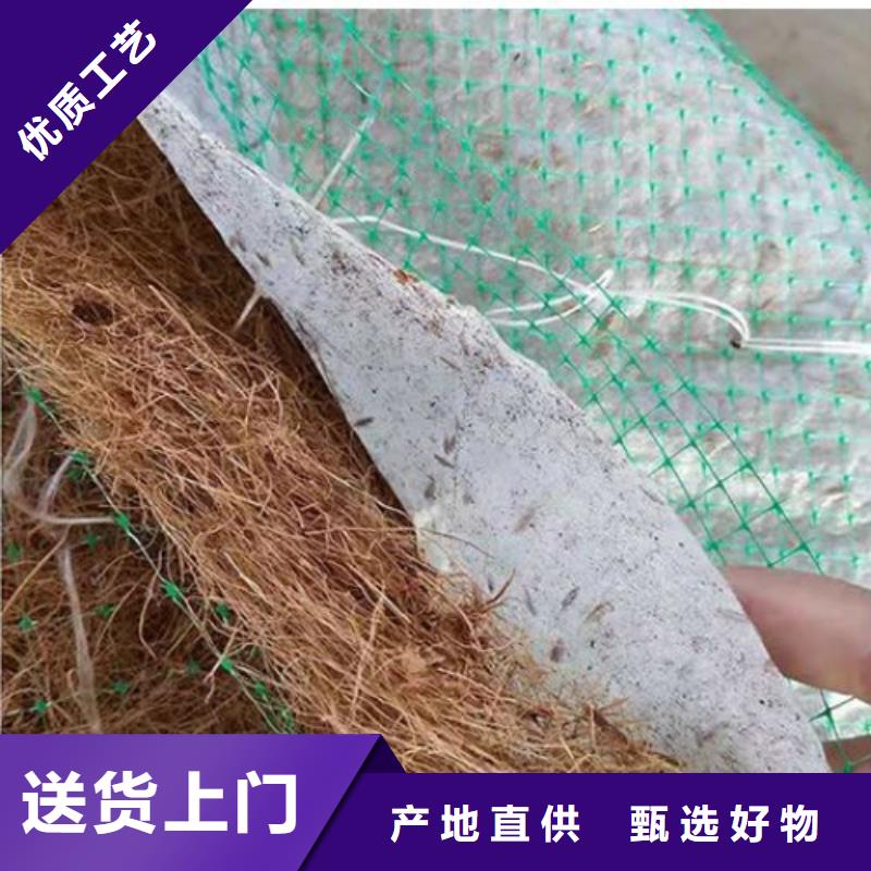 生态环保草毯-加筋抗冲生物毯