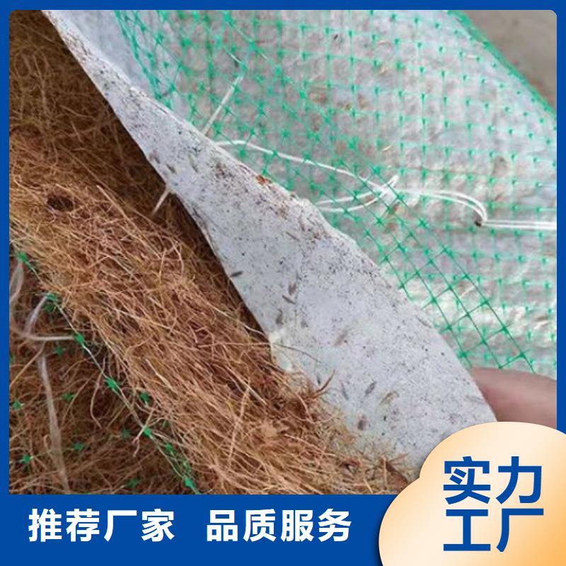 江西定制椰纤植生毯 -加筋抗冲生物毯