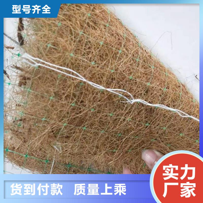 绿化植生毯抗冲椰丝毯