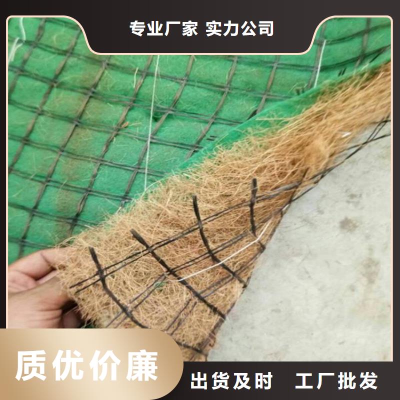【福建】咨询纤维草毯-椰丝生态毯