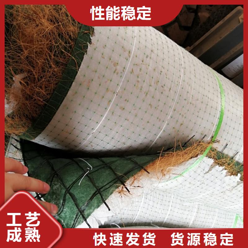 江西买环保植物毯-抗冲绿化毯