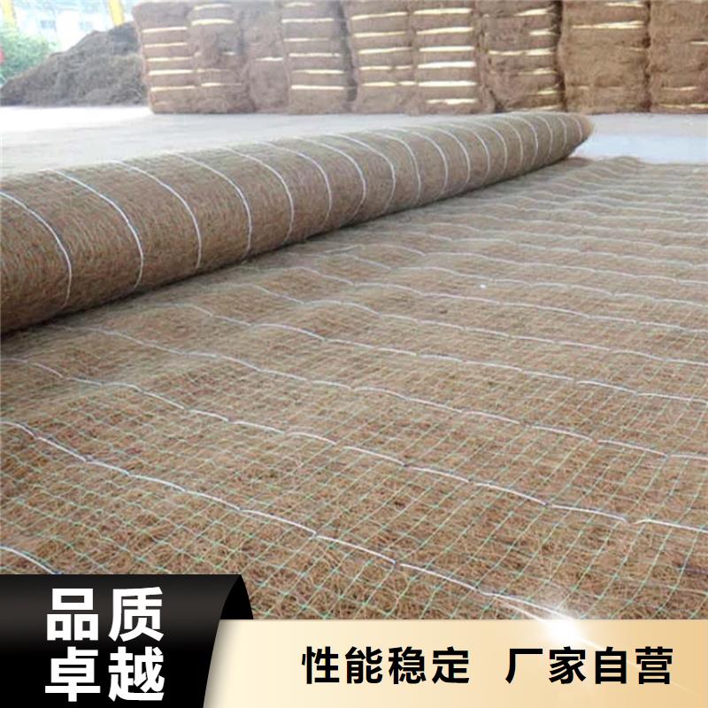 椰纤植生毯-护坡草毯-防冲毯