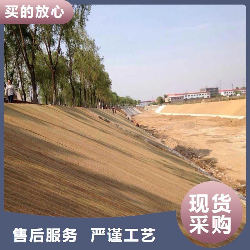《蚌埠》[本地]<中齐>加筋抗冲生物毯-绿化生态毯_蚌埠产品案例