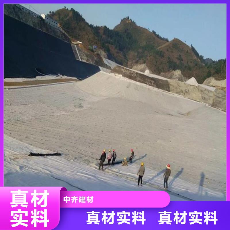 膨润土防水毯_双向塑料土工格栅买的放心安兴用的舒心