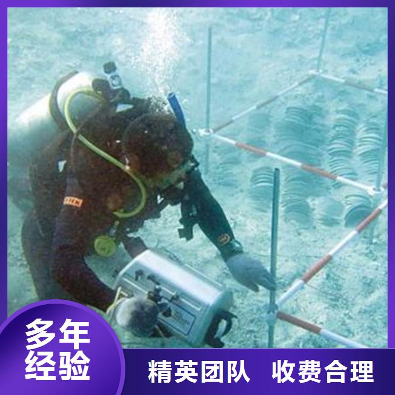 九江镇水下打捞尸体推荐厂家