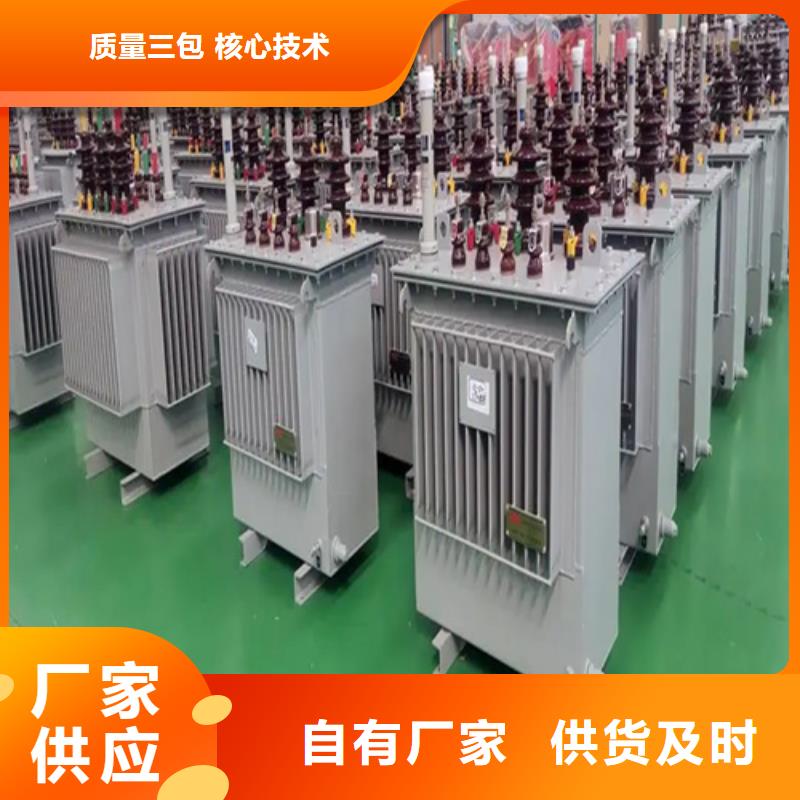忻州本地定制S20-m-160/10油浸式变压器的当地厂家
