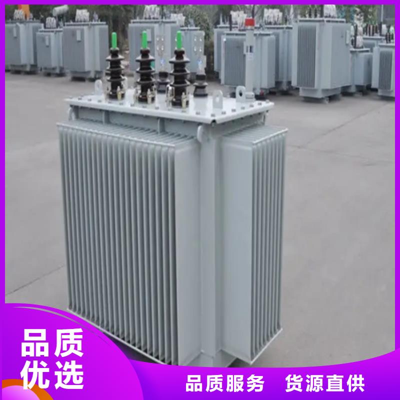 忻州本地定制S20-m-160/10油浸式变压器的当地厂家
