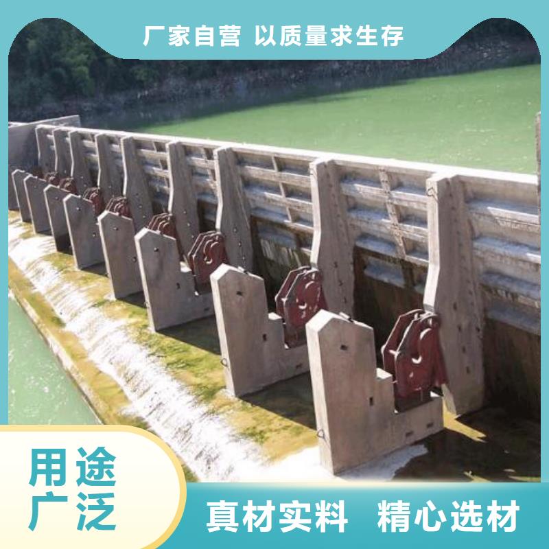 河北邯郸销售鸡泽县雨水泵站闸门