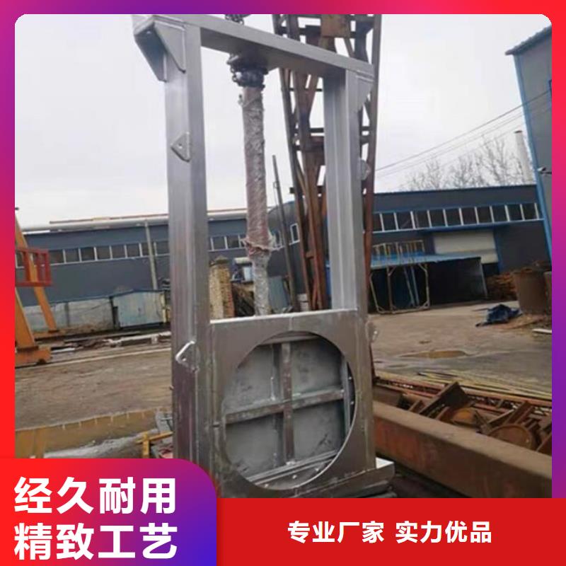 广东广州当地荔湾区一体化泵站截流闸门