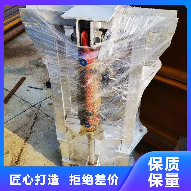 广西防城港定做东兴市污水泵站闸门