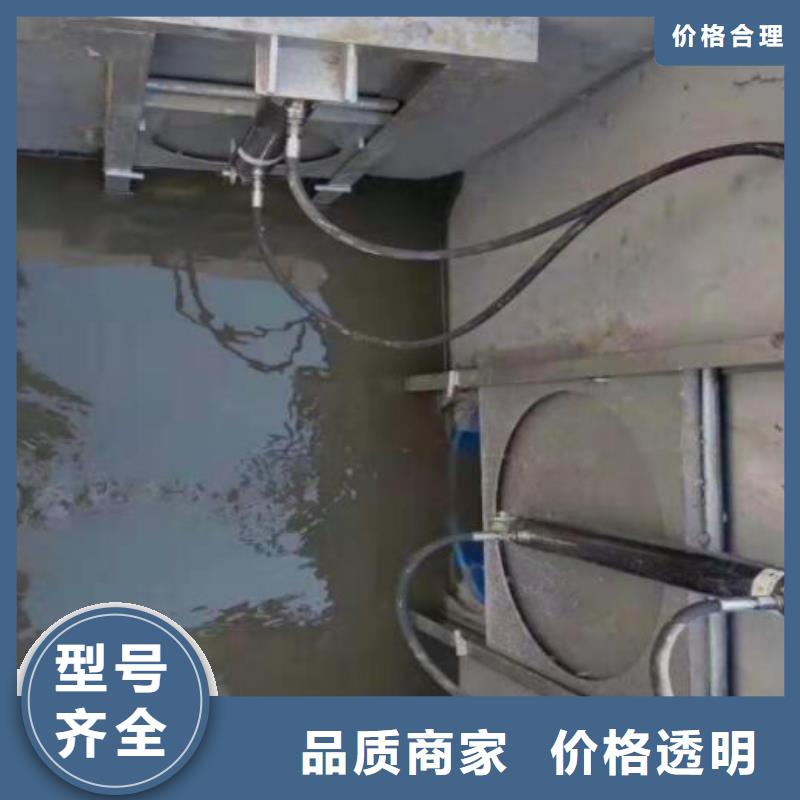 咸宁经营一体化泵站截流闸门厂家图片