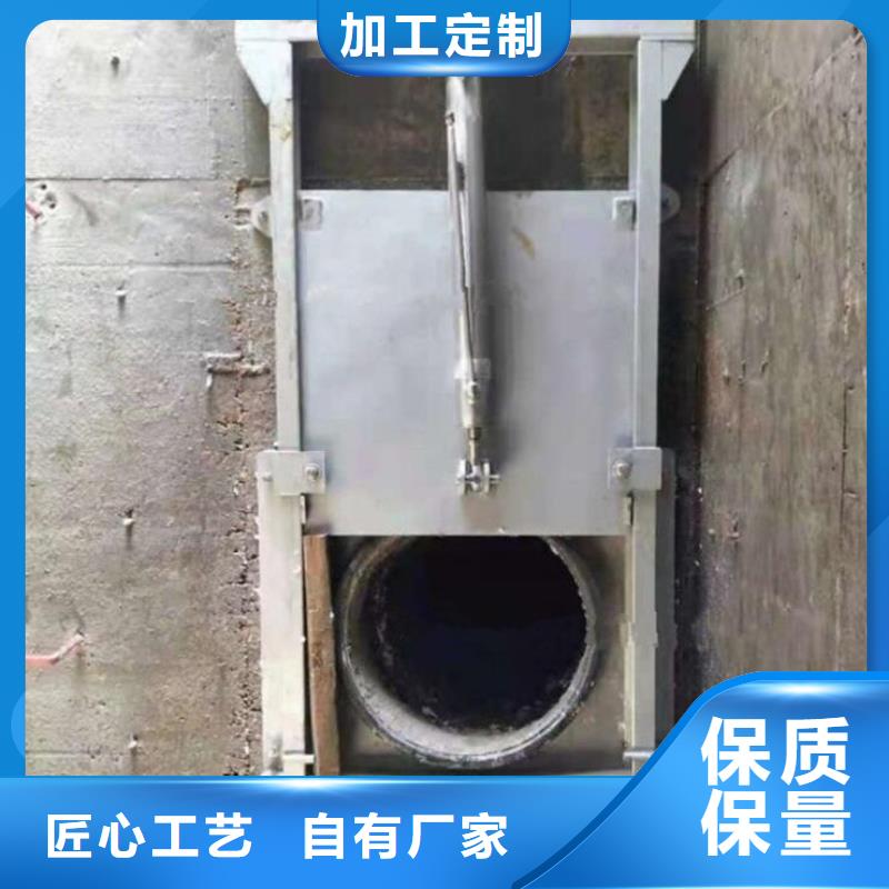 广东《湛江》定做赤坎区污水泵站闸门