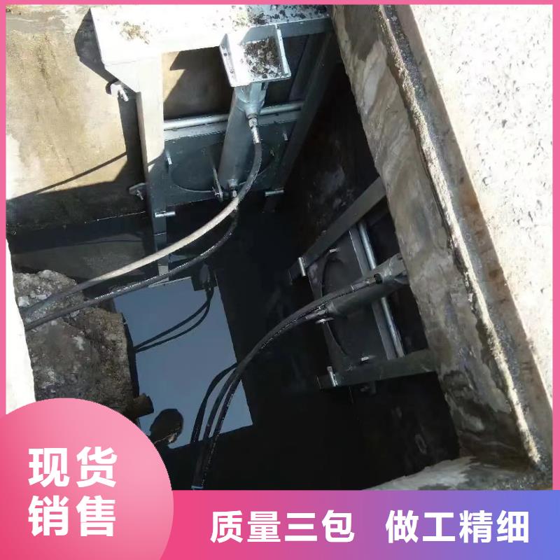 广东茂名附近茂南区分流液压钢制闸门