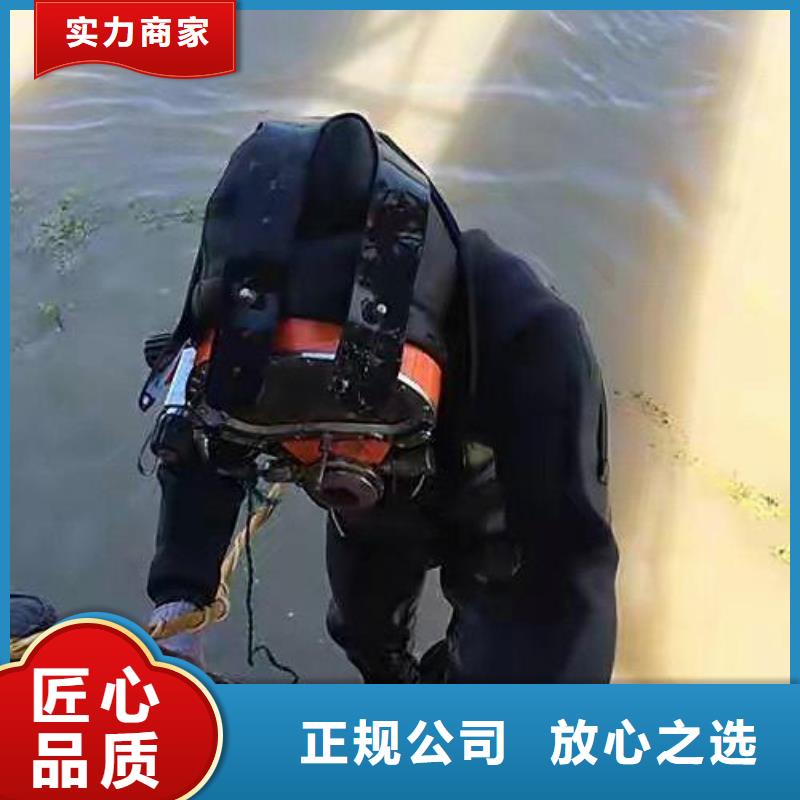 重庆市大渡口区水下打捞貔貅




在线服务