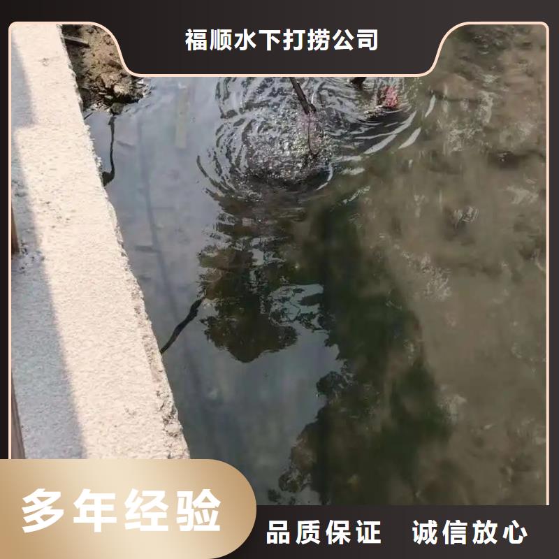 重庆市巴南区鱼塘打捞貔貅质量放心

