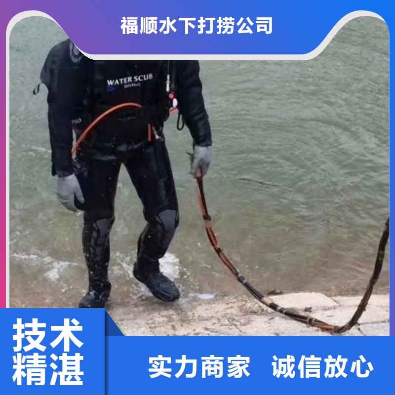 重庆市渝中区水下打捞貔貅



安全快捷