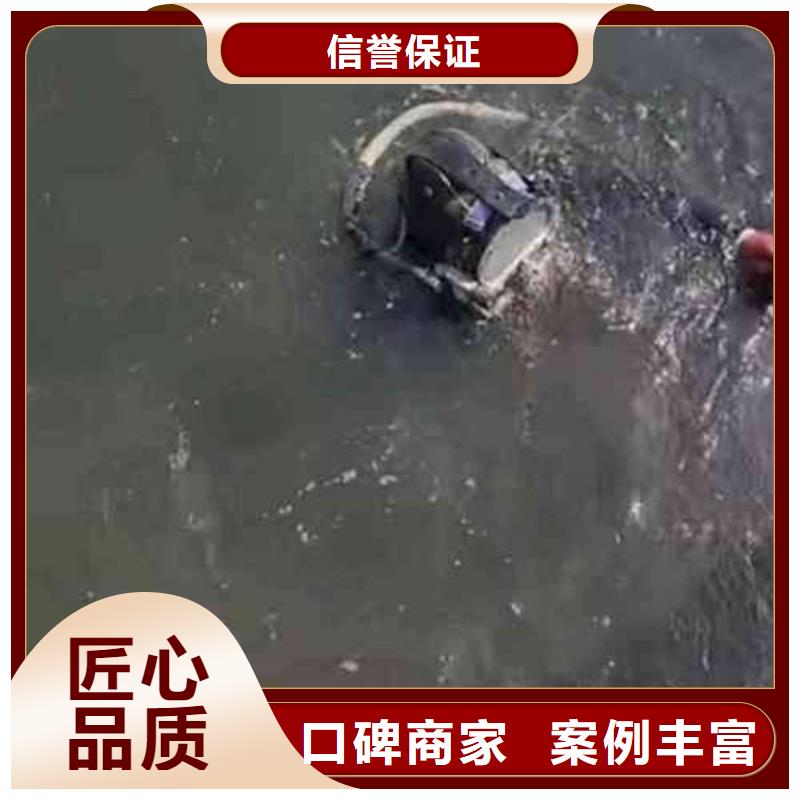 重庆市大足区

池塘打捞貔貅



安全快捷