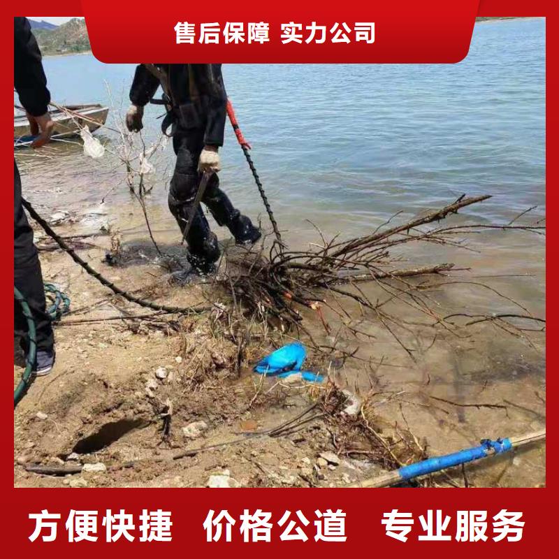 水中管道堵漏批发零售