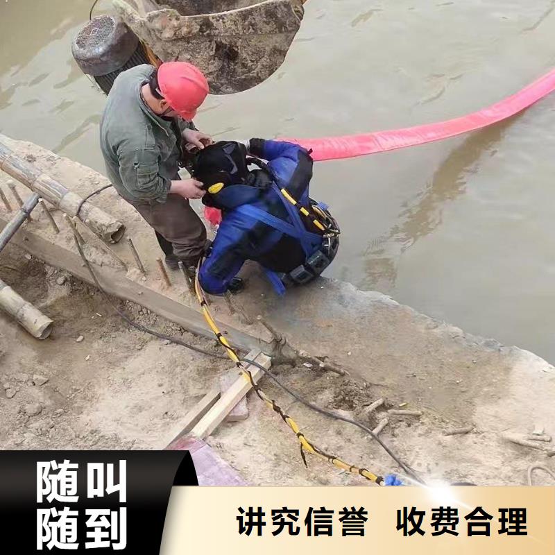 潜水员水下摄影远销各地