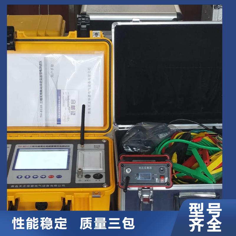 通化定制上海氧化锌避雷器测试仪