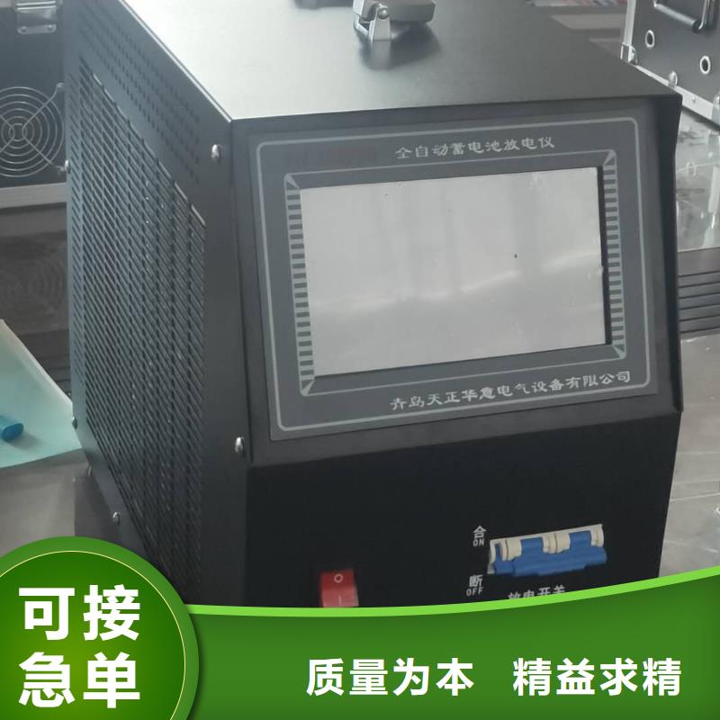 广东直销蓄电池组智能充电仪