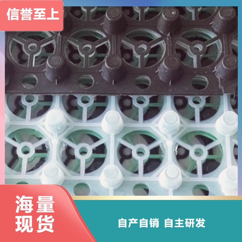 临沧销售塑料排水板厂家直供-可定制