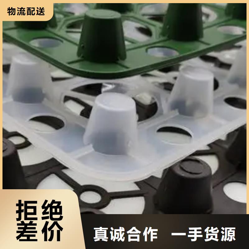 临沧销售塑料排水板厂家直供-可定制